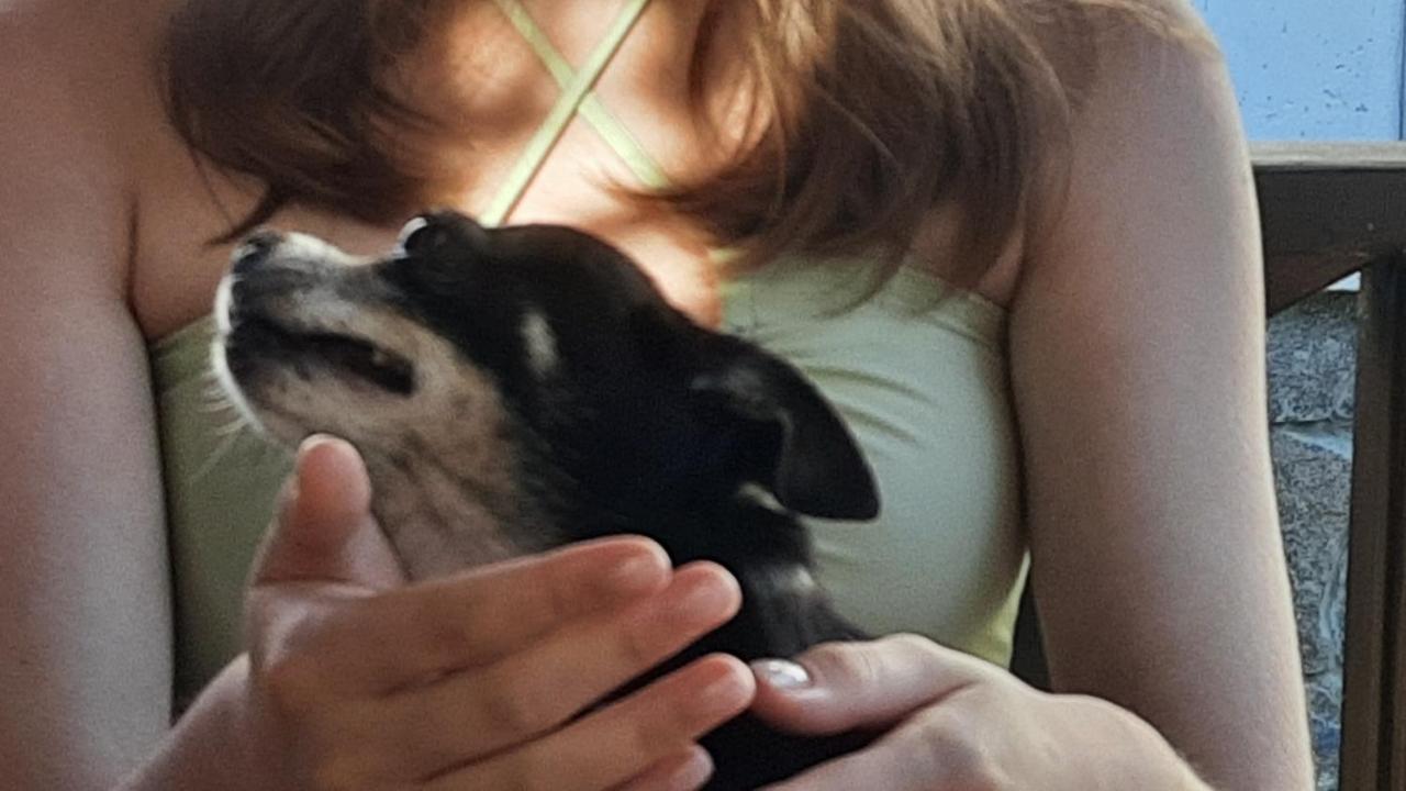 Sadyba Iryna Садиба Ірина Tukhlya Eksteriør billede